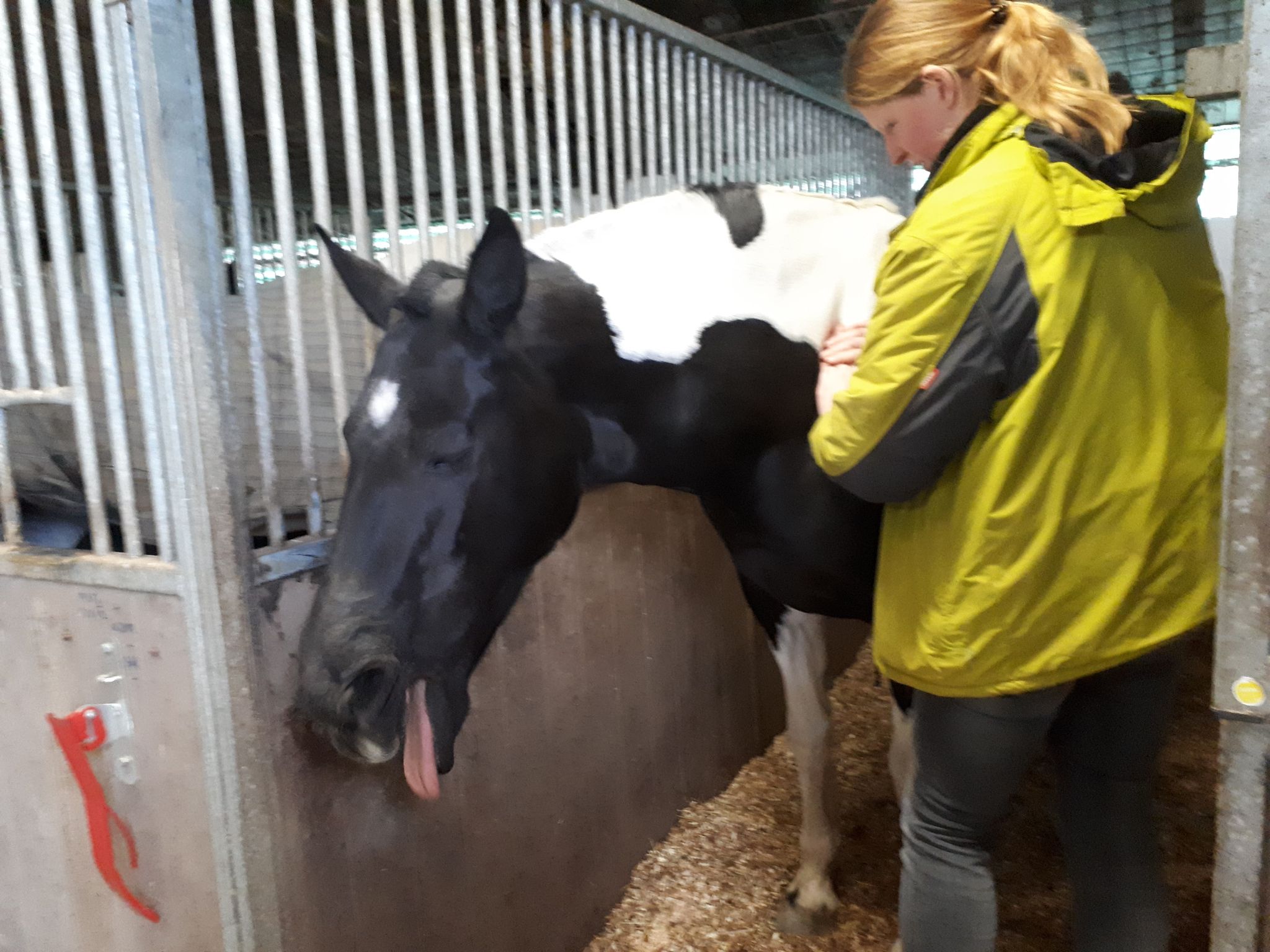 MLd behandeling release